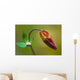 Developing Corolla Columbine Common Wall Decal