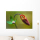 Developing Corolla Columbine Common Wall Decal