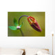 Developing Corolla Columbine Common Wall Decal