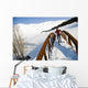 Female Skier Tours Center Wall Decal