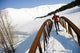 Female Skier Tours Center Wall Decal