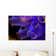 Soft Coral Close-up Indonesia Sulawesi Wall Mural