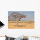 myrrh tree (Commiphora myrrha) Wall Mural