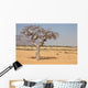 myrrh tree (Commiphora myrrha) Wall Mural