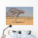 myrrh tree (Commiphora myrrha) Wall Mural