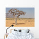myrrh tree (Commiphora myrrha) Wall Mural