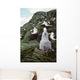 Black-browed Albatross Chick Sitting Wall Decal