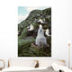 Black-browed Albatross Chick Sitting Wall Decal
