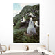 Black-browed Albatross Chick Sitting Wall Decal