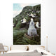 Black-browed Albatross Chick Sitting Wall Decal