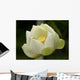 Fleurs Lotus Wall Mural