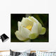 Fleurs Lotus Wall Mural