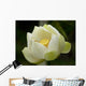 Fleurs Lotus Wall Mural