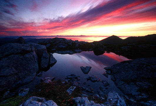 Sunrise over Pond Short Wall Decal