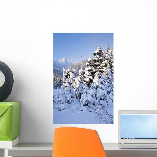 Winter Scenic Snow-covered Spruce Wall Decal