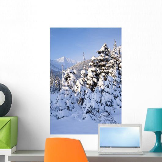 Winter Scenic Snow-covered Spruce Wall Decal