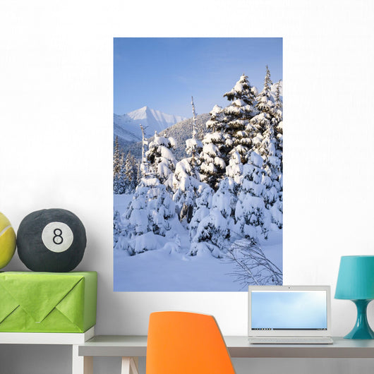 Winter Scenic Snow-covered Spruce Wall Decal