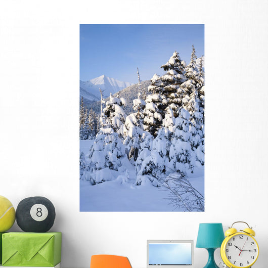 Winter Scenic Snow-covered Spruce Wall Decal