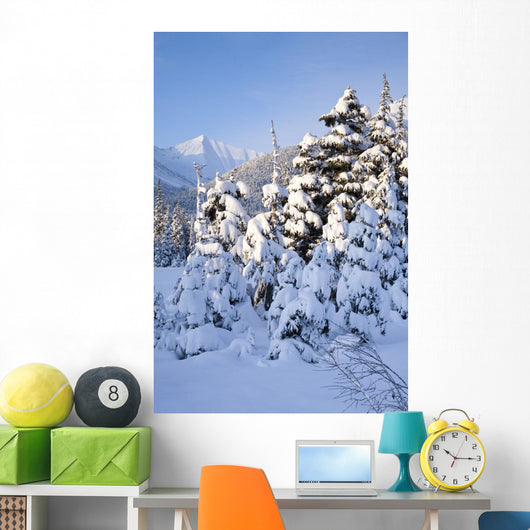 Winter Scenic Snow-covered Spruce Wall Decal