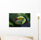 Toucan Profile Wall Mural