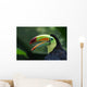 Toucan Profile Wall Mural