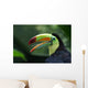Toucan Profile Wall Mural