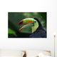 Toucan Profile Wall Mural
