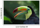 Toucan Profile Wall Mural