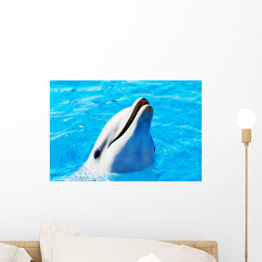 Delfin Wall Mural