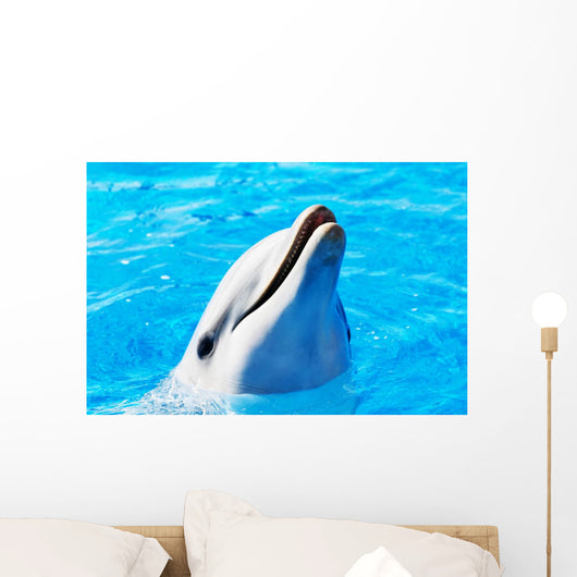 Delfin Wall Mural