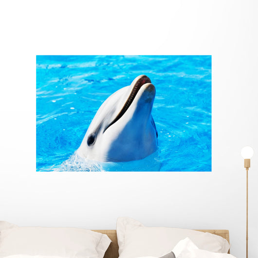 Delfin Wall Mural