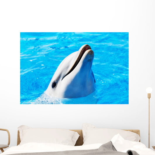 Delfin Wall Mural