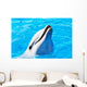 Delfin Wall Mural