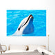 Delfin Wall Mural