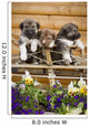 Iditarod Alaskan Husky Puppies Wall Decal Design 2