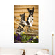 Iditarod Alaskan Husky Puppies Wall Decal Design 1