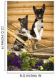 Iditarod Alaskan Husky Puppies Wall Decal Design 1