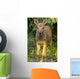 Up O Moose Calf Wall Decal