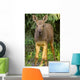Up O Moose Calf Wall Decal