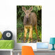 Up O Moose Calf Wall Decal