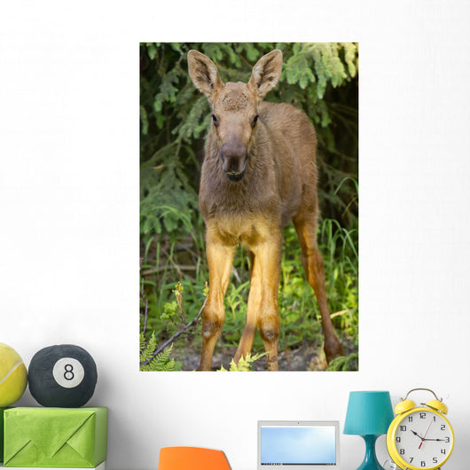 Up O Moose Calf Wall Decal