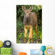 Up O Moose Calf Wall Decal