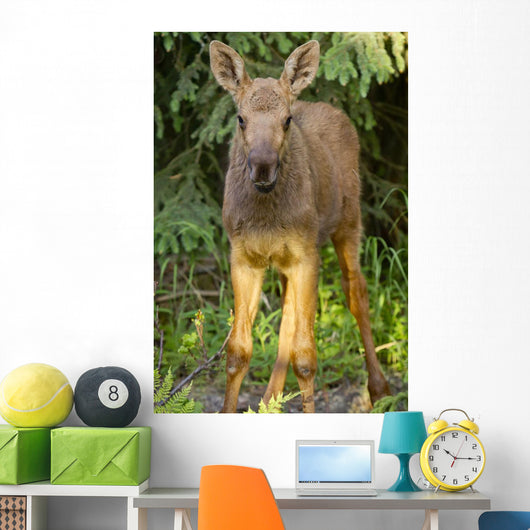 Up O Moose Calf Wall Decal