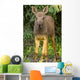 Up O Moose Calf Wall Decal