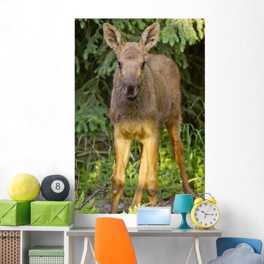 Up O Moose Calf Wall Decal