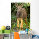 Up O Moose Calf Wall Decal
