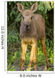 Up O Moose Calf Wall Decal
