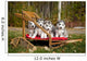 Pure-bred Siberian Husky Puppies Wall Decal