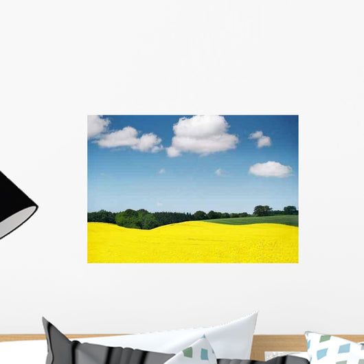 Raps 1 Wall Decal
