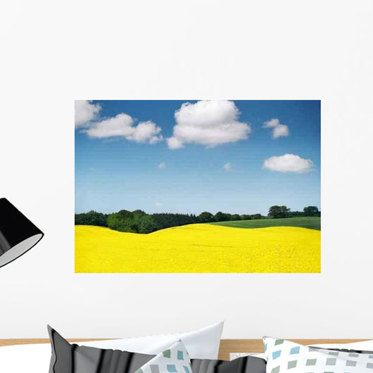 Raps 1 Wall Decal
